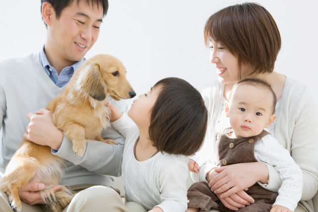 10 lý do nên cho bé nuôi thú cưng 37 10 lý do cho con nuôi thú cưng