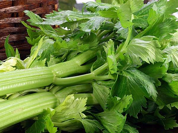 10 thực phẩm chứa ít calo giúp đánh tan mỡ thừa sau Tết hiệu quả 47 10 thực phẩm chứa ít calo giúp đánh tan mỡ thừa sau Tết hiệu quả 19