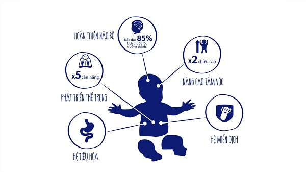1000 ngày đầu đời giúp bé nuôi dưỡng ước mơ 33 1000 ngày đầu đời giúp bé nuôi dưỡng ước mơ 5