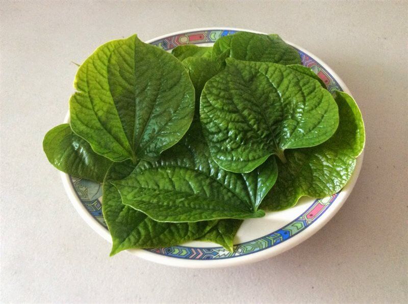 1.001 cách chữa mùi hôi chân hiệu quả bằng những nguyên liệu dễ tìm 42 la-lot