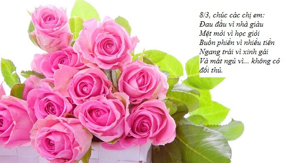 1.001 lời chúc 8/3 hài hước và đáng yêu nhất 47 lời chúc 8/3 7
