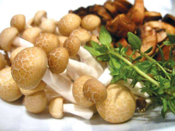 12 loại thực phẩm ngăn ngừa nhiễm trùng ở trẻ 35 12-loai-thuc-pham-ngan-ngua-nhiem-trung-o-tre