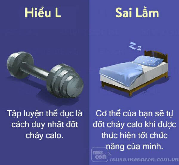 15 hiểu lầm về chế độ ăn uống để giảm cân bạn nên dừng ngay lập tức 32
