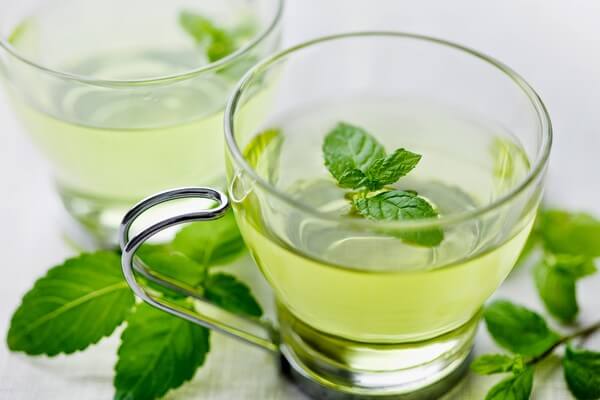 16 cách chữa ho hiệu quả cho cả người lớn và trẻ em bằng các nguyên liệu tự nhiên có sẵn 40 Bạc hà cay