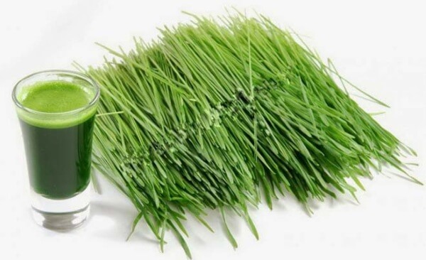 4 bước để rơ lưỡi bằng lá hẹ cho trẻ sơ sinh tại nhà 36 lá hẹ