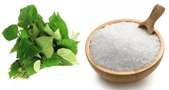 4 công thức làm đẹp đơn giản từ rau diếp cá cho bạn làn da đẹp không tì vết 34 4 công thức làm đẹp đơn giản từ rau diếp cá cho bạn làn da đẹp không tì vết 6