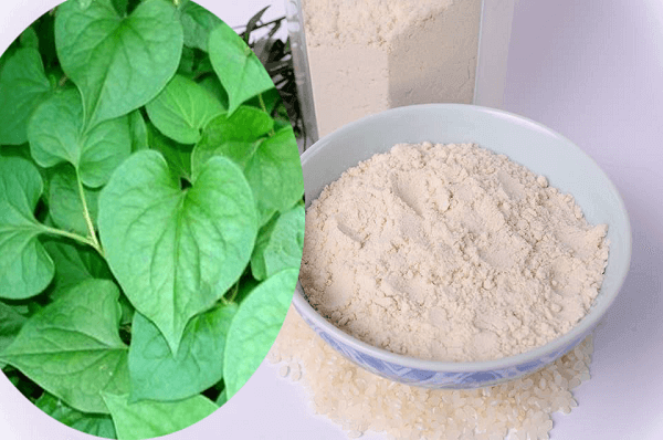 4 công thức làm đẹp đơn giản từ rau diếp cá cho bạn làn da đẹp không tì vết 35 4 công thức làm đẹp đơn giản từ rau diếp cá cho bạn làn da đẹp không tì vết 7