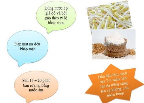 4 loại mặt nạ tự làm từ giá đỗ 1