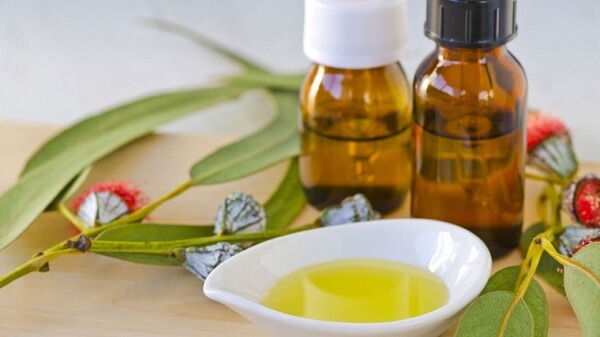 4 tinh dầu tự nhiên khiến các loại côn trùng khiếp sợ 34 tinh dầu