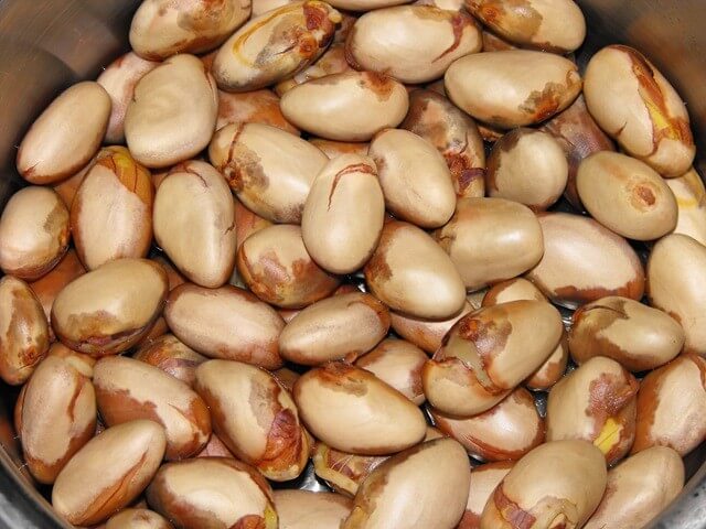 5 bài thuốc dân gian trị kiết lỵ an toàn cho bé 39 hat-mit