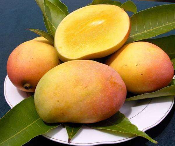 5-cong-dung-an-vao-thay-ngay-cua-trai-xoai