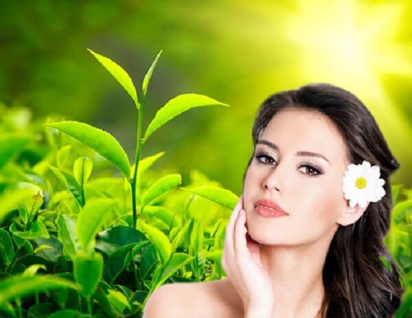 5 công thức xông hơi cho da sạch mụn và trắng mịn từ nguyên liệu thiên nhiên 37 che-xanh