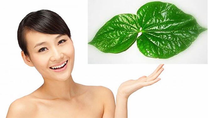 5 công thức xông hơi cho da sạch mụn và trắng mịn từ nguyên liệu thiên nhiên 39 la-trau