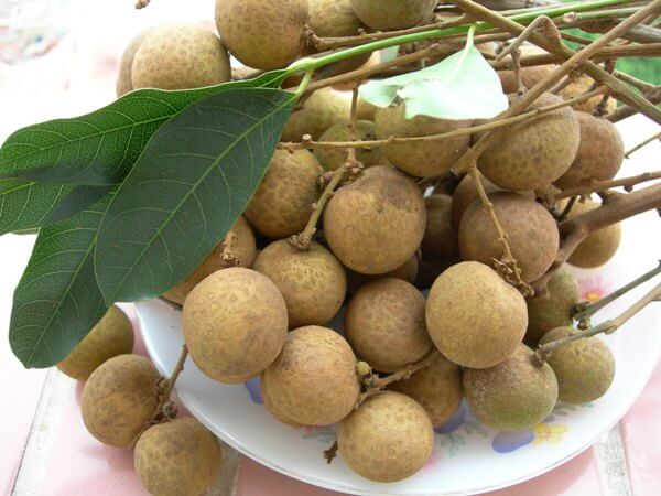 5 loại thực phẩm cần kiêng khi mang thai 34 5-loai-thuc-pham-can-kieng-khi-mang-thai