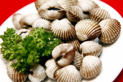 5 món ăn siêu bổ giúp con khỏe mạnh, thông minh 37 con-co-the-an-nhung-mon-nay