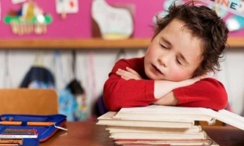 6 loại thực phẩm cần có trong thực đơn mùa thi của con 7