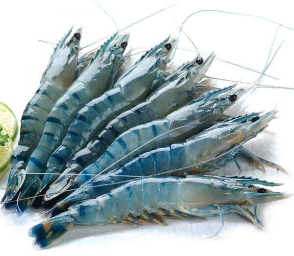 6 loại thủy hải sản chứa hóa chất nhiều nhất 40 6-loai-thuy-hai-san-chua-hoa-chat-nhieu-nhat
