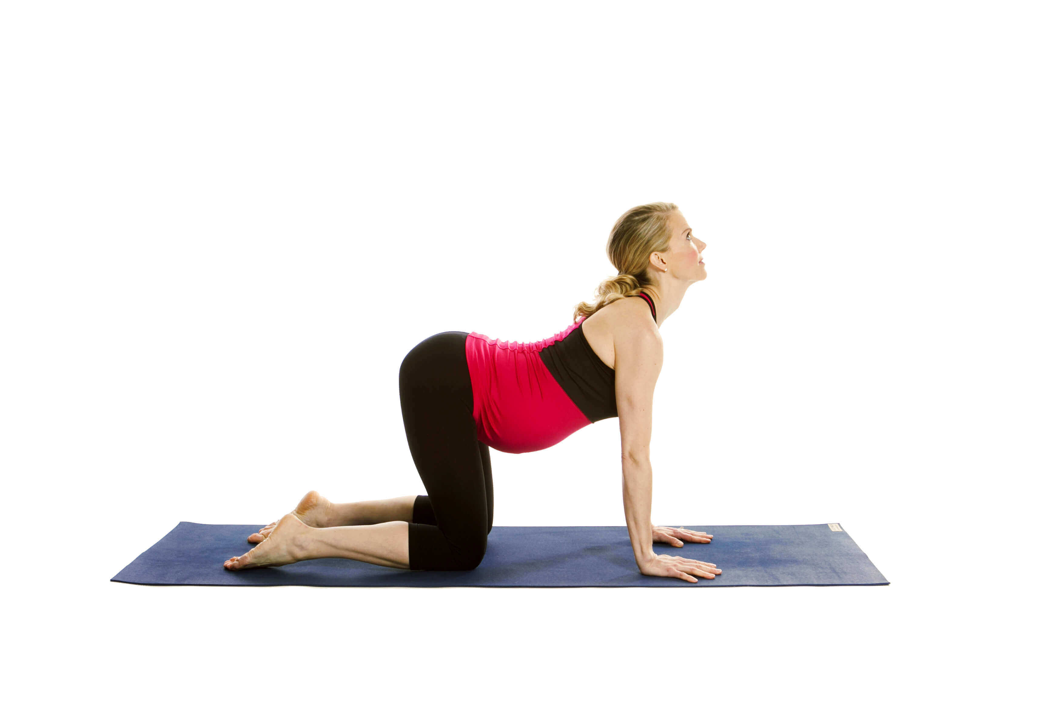 6 tư thế yoga cho bà bầu "tạm biệt" đau lưng tức thì 39 yoga Tư thế con mèo