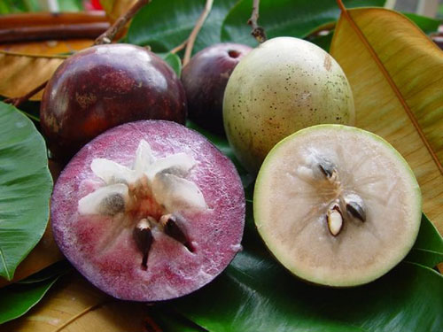 7 loại trái cây mẹ bầu ăn nhiều có thể bị sẩy thai 38 7 loại trái cây mẹ bầu ăn nhiều có thể bị sẩy thai 10