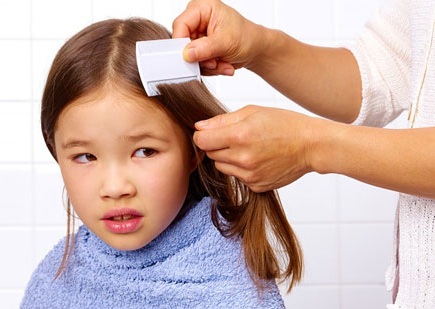 7 mẹo "đuổi" sạch chí trên đầu bé bằng những nguyên liệu có sẵn 33 7 mẹo "đuổi" sạch chí trên đầu bé bằng những nguyên liệu có sẵn 5