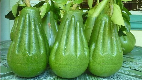 7 việc làm giúp mẹ rủng rỉnh tiền tiêu Tết 7