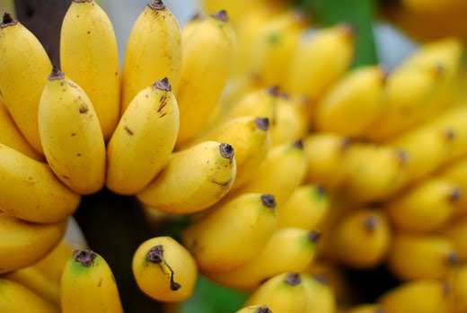 8 loại thực phẩm chữa khỏi táo bón 35 8-loai-thuc-pham-chua-khoi-tao-bon