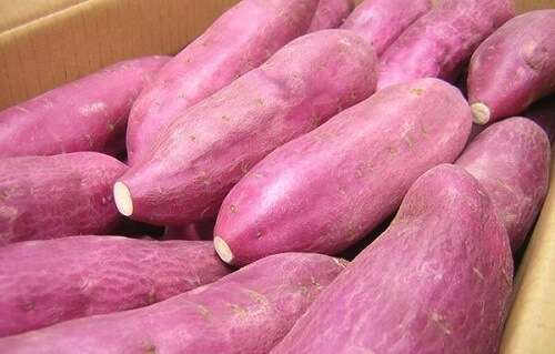 8 lý do để ăn khoai lang mỗi ngày 9