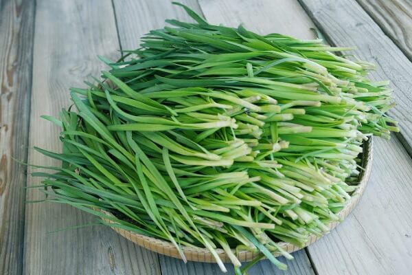8 mẹo dân gian trị dứt điểm rôm sảy cho bé bằng những loại lá có sẵn trong vườn 37 hẹ