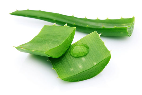 8 mẹo dân gian trị dứt điểm rôm sảy cho bé bằng những loại lá có sẵn trong vườn 39 Dưa leo hoặc lô hội
