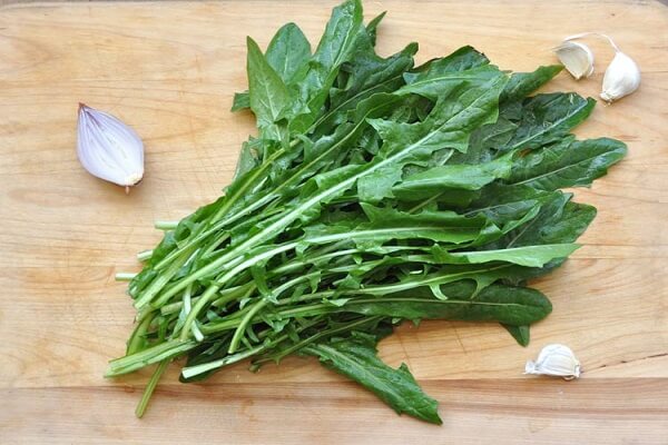 Rau bồ công anh