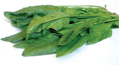 8 thực phẩm ít calo giúp mẹ giảm cân 36 8-thuc-pham-it-calo-giup-me-giam-can