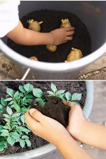 8 thực phẩm mua một lần, ăn một năm 57 8 thực phẩm mua một lần, ăn một năm 29