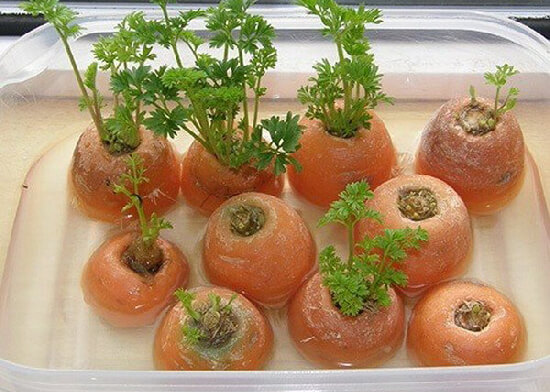 8 thực phẩm mua một lần, ăn một năm 59 8 thực phẩm mua một lần, ăn một năm 31
