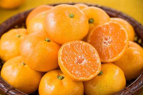 Ăn cam mỗi ngày, không sợ bệnh tật 34 an-cam-moi-ngay-khong-so-benh-tat