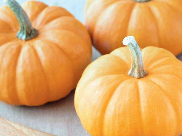 Bánh bí ngô Halloween ngon bổ cho con 8