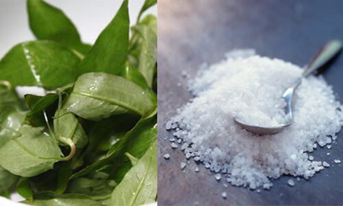 Bật mí các mẹ loại rau "chinh phục" lỗ chân lông to 6