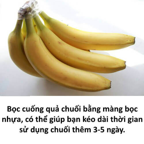 Bất ngờ với 8 mẹo giữ rau quả tươi lâu 40 Bất ngờ với 8 mẹo giữ rau quả tươi lâu 12