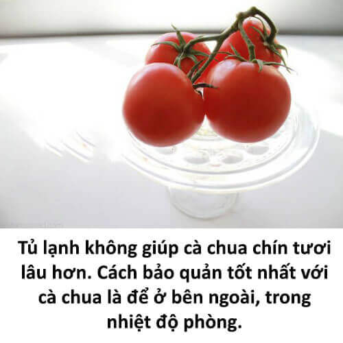 Bất ngờ với 8 mẹo giữ rau quả tươi lâu 41 Bất ngờ với 8 mẹo giữ rau quả tươi lâu 13