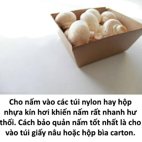 Bất ngờ với 8 mẹo giữ rau quả tươi lâu 43 Bất ngờ với 8 mẹo giữ rau quả tươi lâu 15