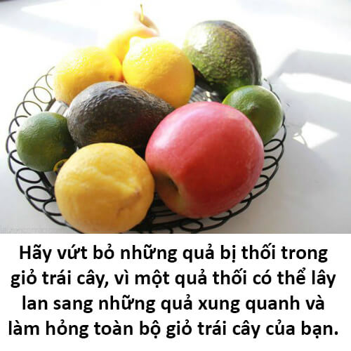 Bất ngờ với 8 mẹo giữ rau quả tươi lâu 44 Bất ngờ với 8 mẹo giữ rau quả tươi lâu 16