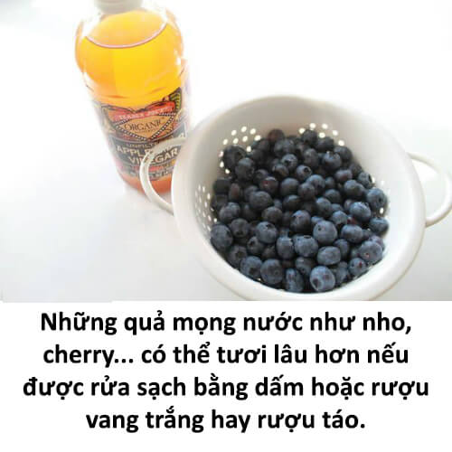 Bất ngờ với 8 mẹo giữ rau quả tươi lâu 45 Bất ngờ với 8 mẹo giữ rau quả tươi lâu 17