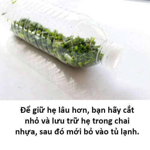 Bất ngờ với 8 mẹo giữ rau quả tươi lâu 46 Bất ngờ với 8 mẹo giữ rau quả tươi lâu 18