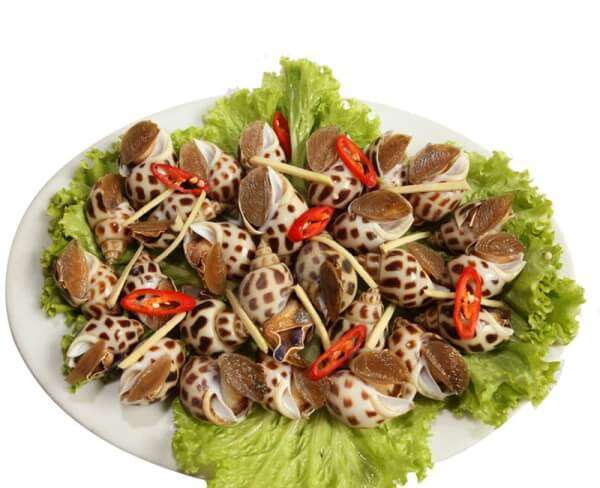 Bầu có nên ăn ốc? 34 Bầu có nên ăn ốc? 6