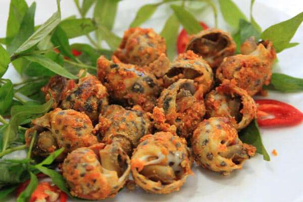 Bầu có nên ăn ốc? 35 Bầu có nên ăn ốc? 7