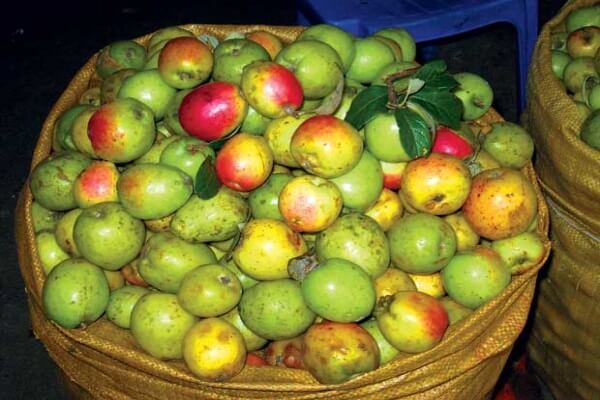 Bầu thường xuyên ăn 18 loại thực phẩm này dễ bị sẩy thai và sinh non 41 Bầu thường xuyên ăn 18 loại thực phẩm này dễ bị sẩy thai và sinh non 13