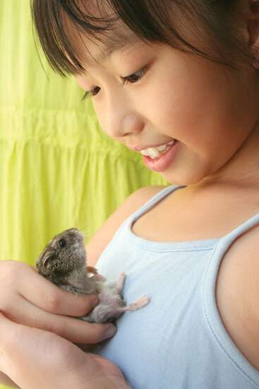 Bé có thể nhiễm bệnh từ vật nuôi