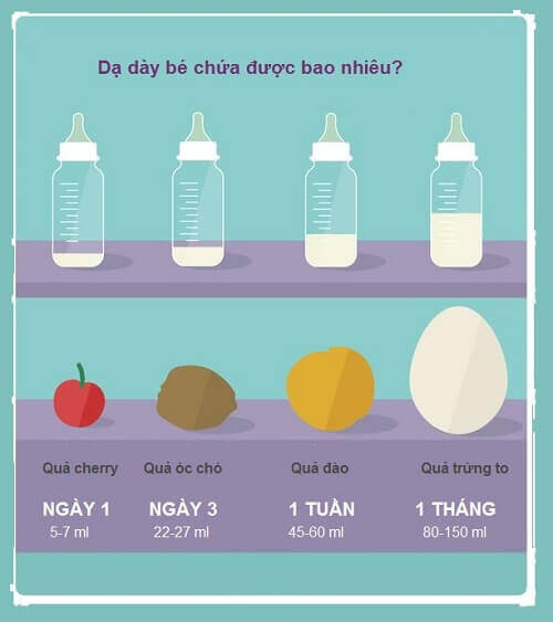 Bé từ 0 - 12 tháng tuổi uống bao nhiêu sữa một ngày? 33 Bé từ 0 - 12 tháng tuổi uống bao nhiêu sữa một ngày? 7