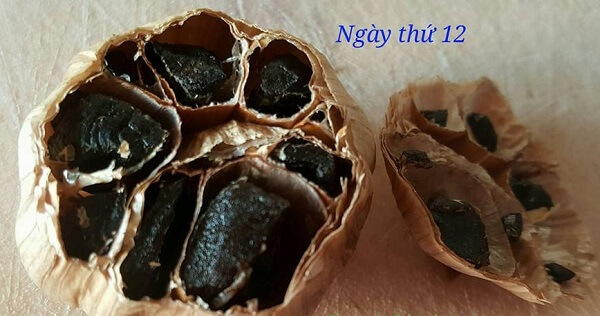 Bí kíp làm tỏi đen chỉ trong 2 tuần 56 cách làm tỏi đen