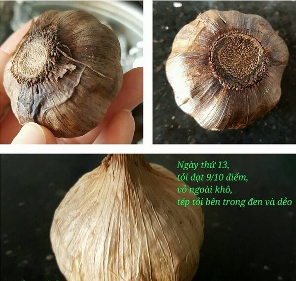Bí kíp làm tỏi đen chỉ trong 2 tuần 57 cách làm tỏi đen