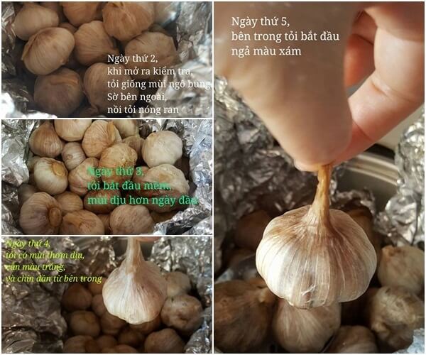 Bí kíp làm tỏi đen chỉ trong 2 tuần 50 cách làm tỏi đen